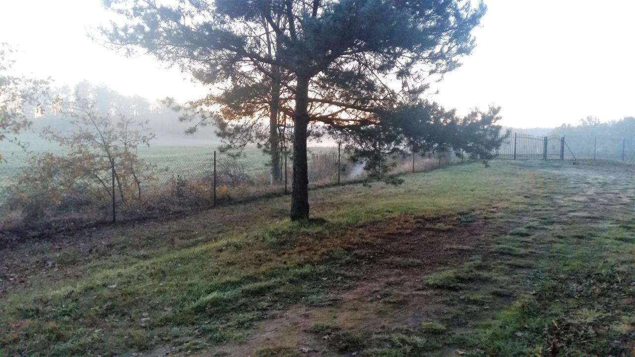 Willa Kraniec Swiata - Tylko Dla Ciebie - Zachwyca Krajobrazem, Regeneruje Cisza I Komfortem Boleslawiec  Exteriör bild